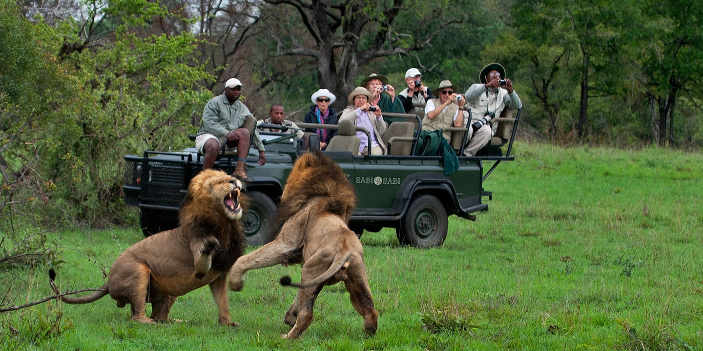 group safari tours