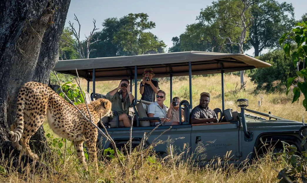 Botswana family safaris
