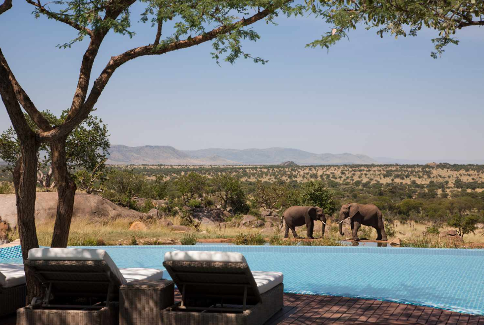 luxury African safari tour